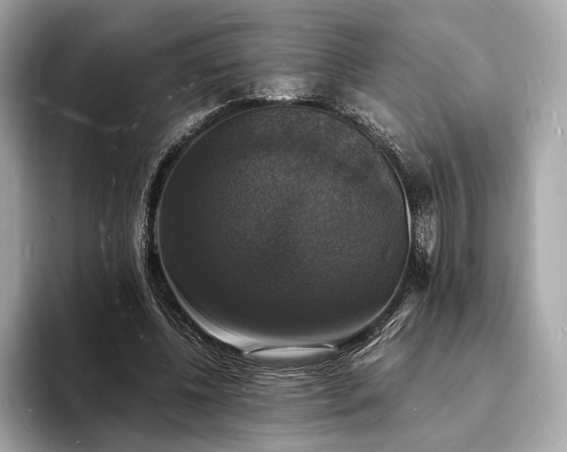 X0000094060540200710261228