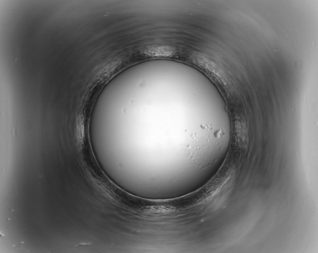 X0000094060541200710261228