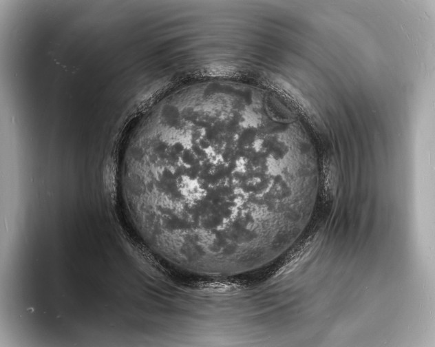 X0000094060542200710261228
