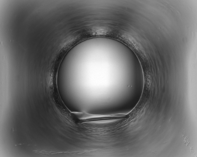 X0000094060543200710261228
