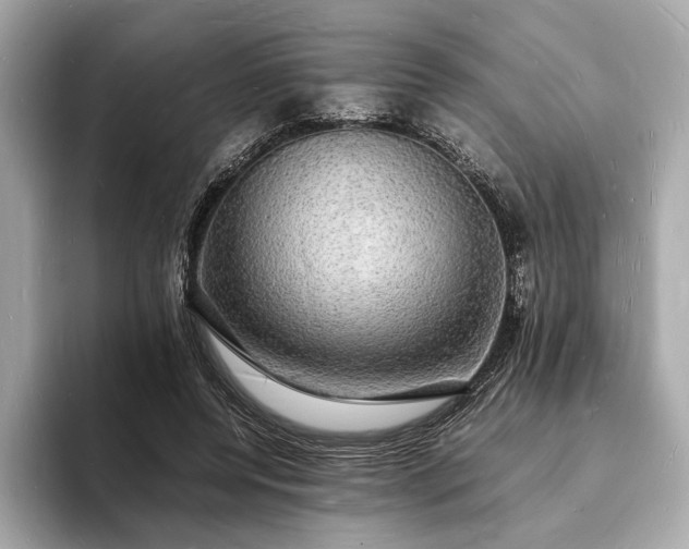 X0000094060544200710261228