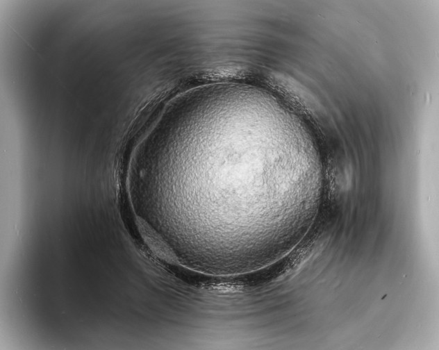 X0000094060546200710261228