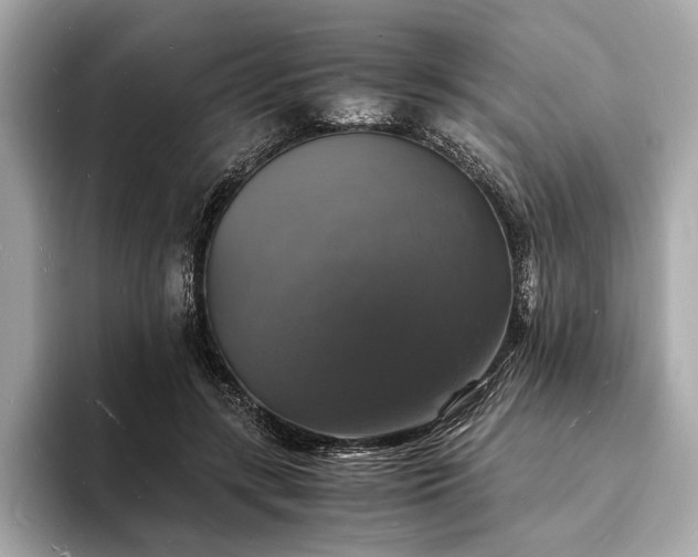 X0000094060547200710261228