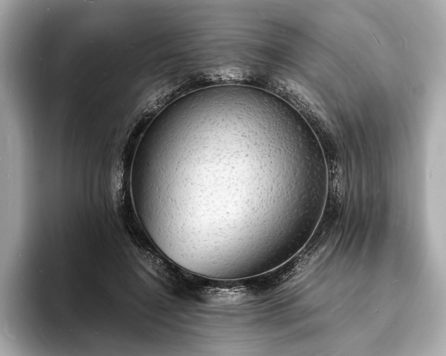X0000094060548200710261228