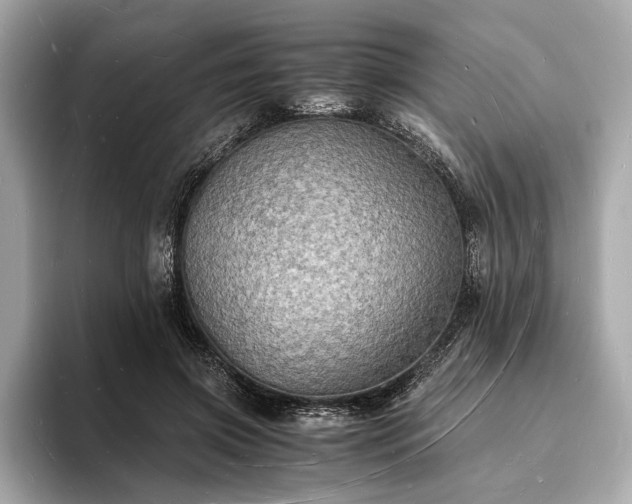 X0000094060549200710261228