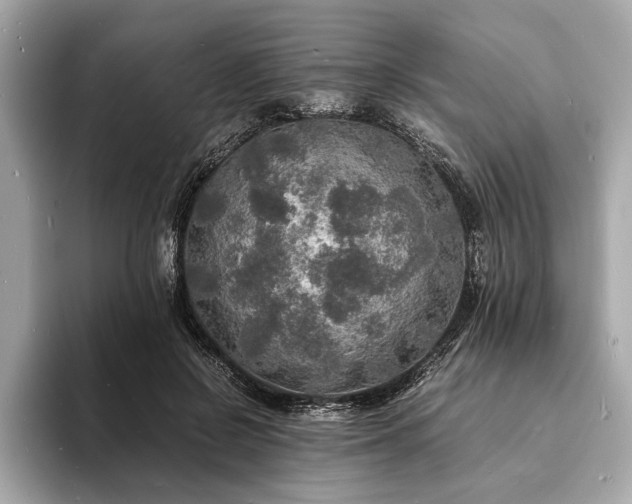 X0000094060550200710261228