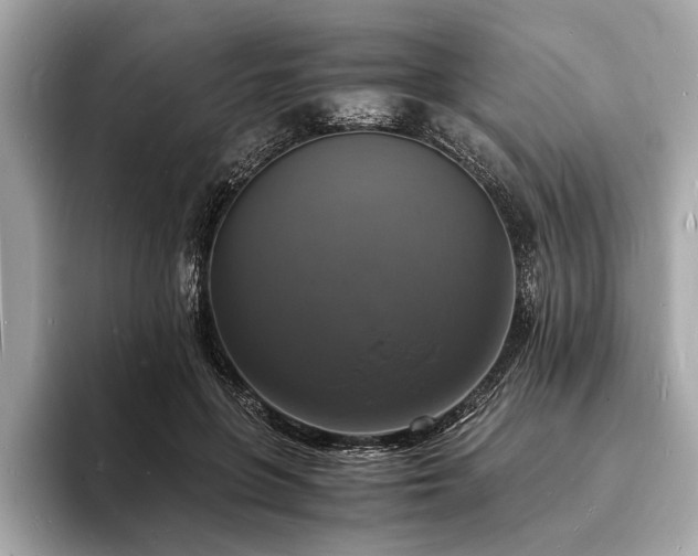 X0000094060551200710261228