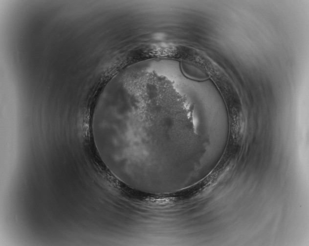X0000094060553200710261228