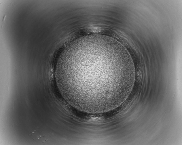 X0000094060555200710261228