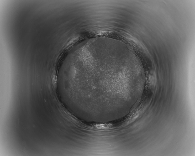 X0000094060558200710261228