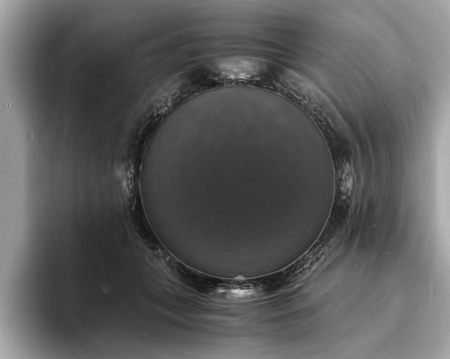 X0000094060559200710261228