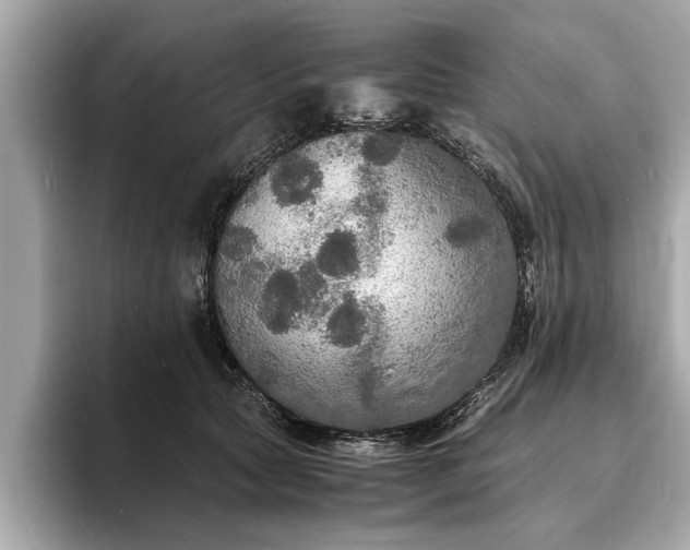X0000094060561200710261228