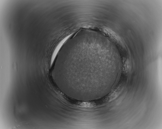 X0000094060562200710261228