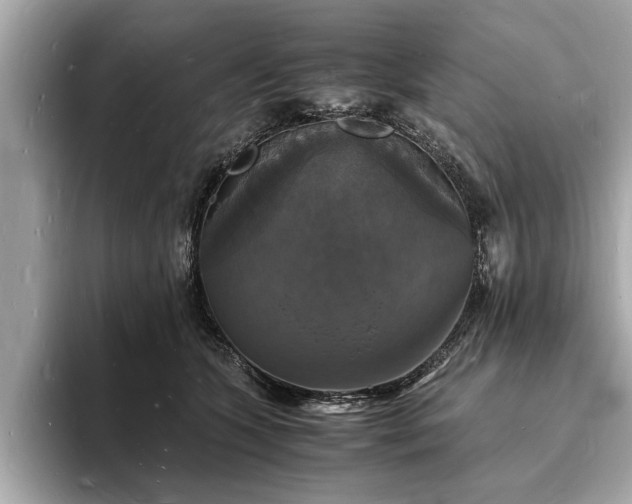 X0000094060563200710261228