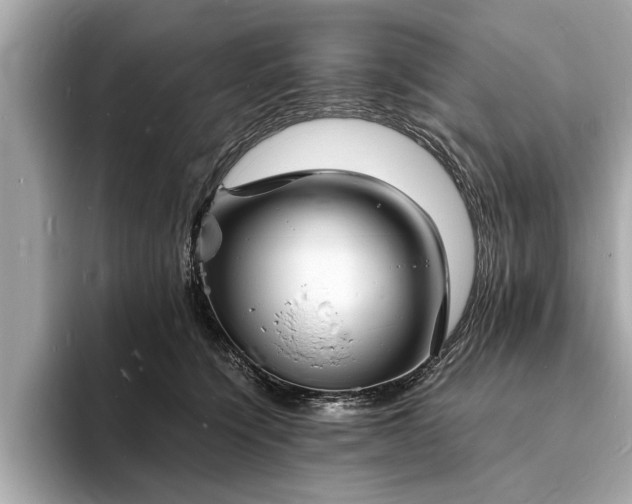X0000094060564200710261228