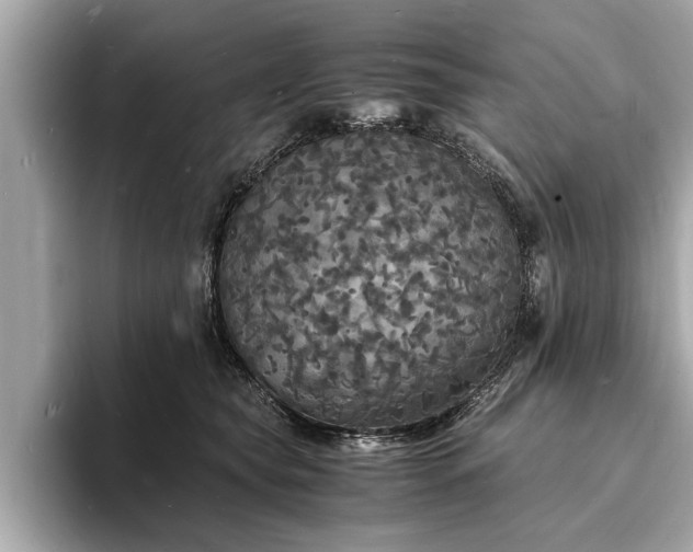 X0000094060565200710261228