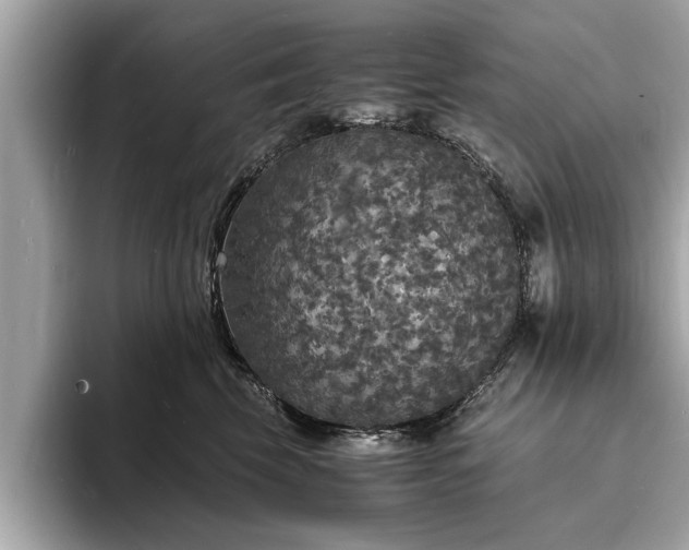 X0000094060569200710261228