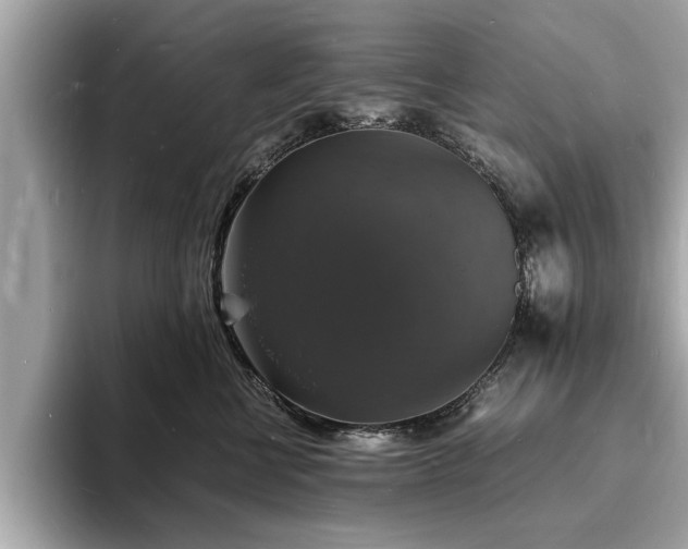 X0000094060570200710261228
