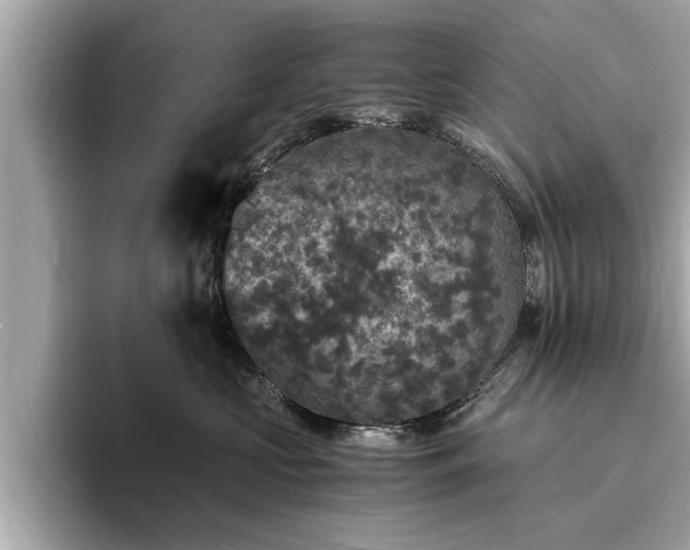 X0000094060573200710261228
