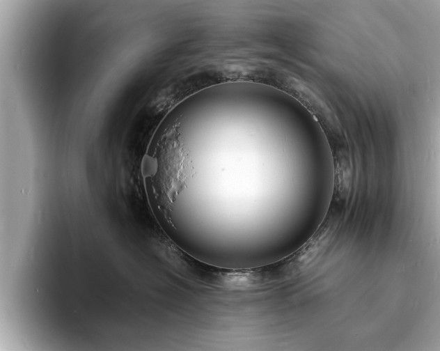 X0000094060574200710261228