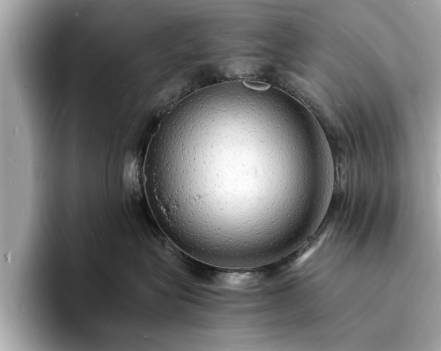 X0000094060575200710261228