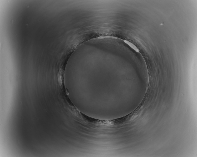 X0000094060576200710261228