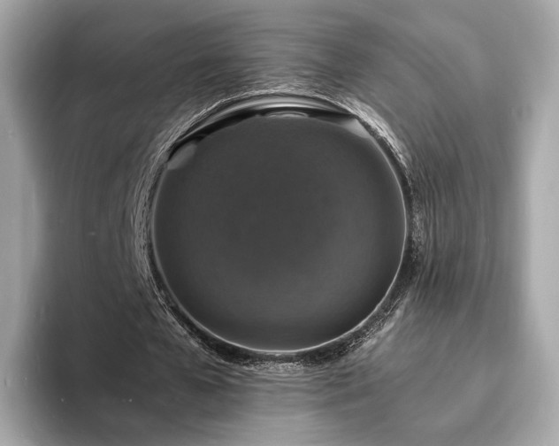 X0000094060577200710261227
