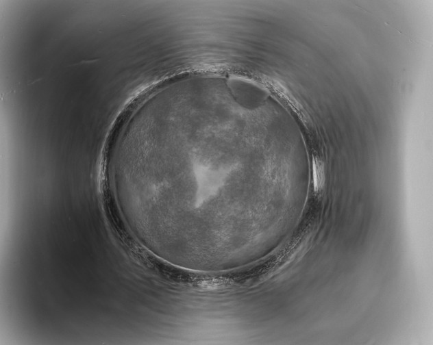 X0000094060579200710261227