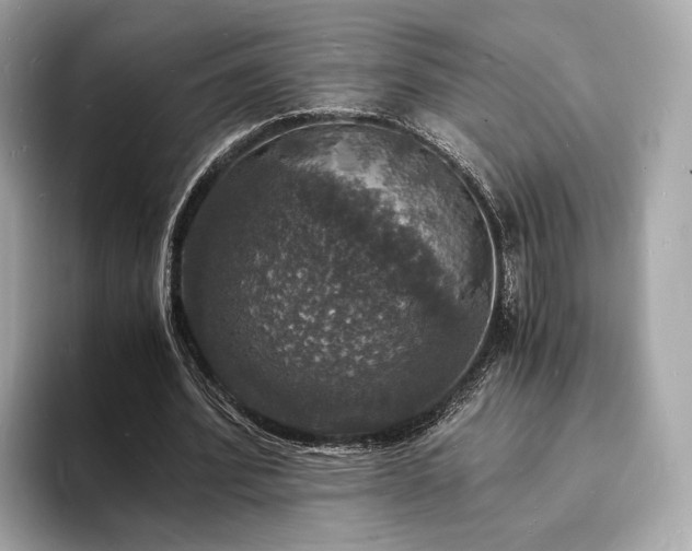 X0000094060580200710261227