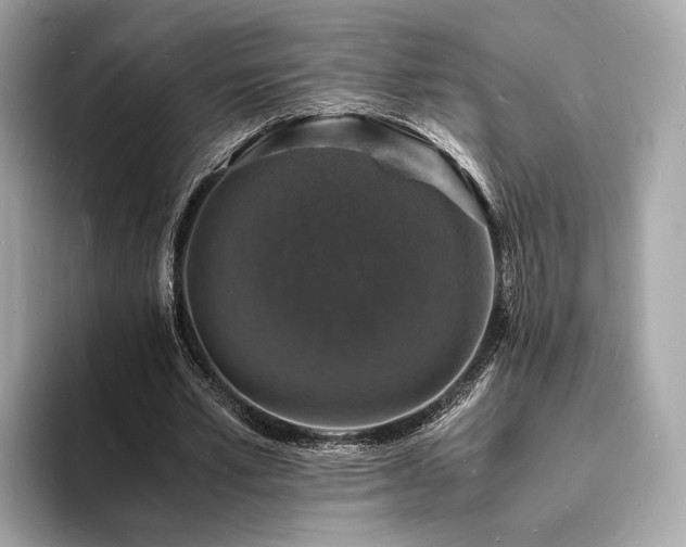 X0000094060581200710261227