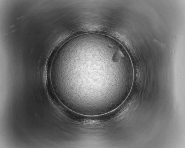 X0000094060582200710261227