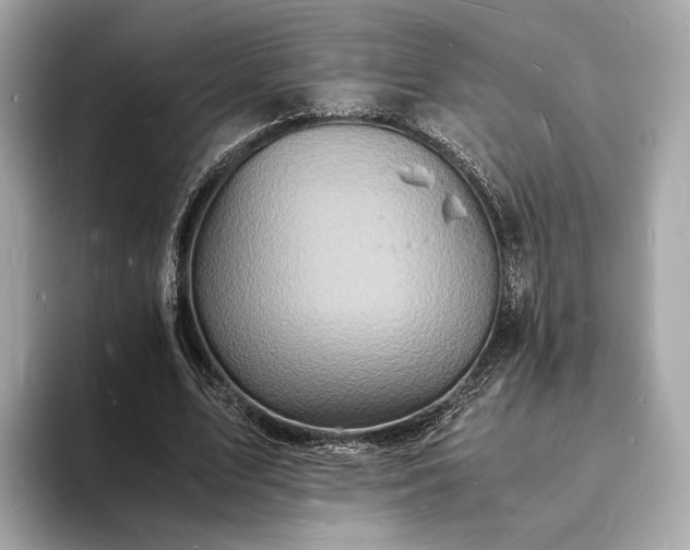 X0000094060583200710261227