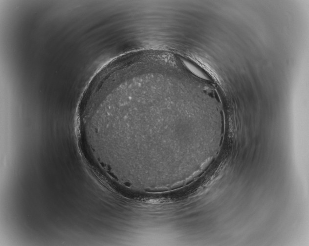 X0000094060584200710261227