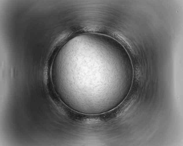 X0000094060586200710261227