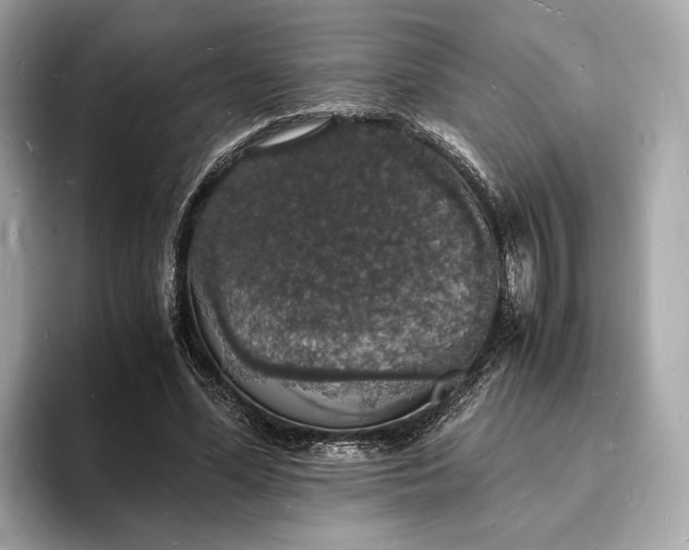 X0000094060588200710261227