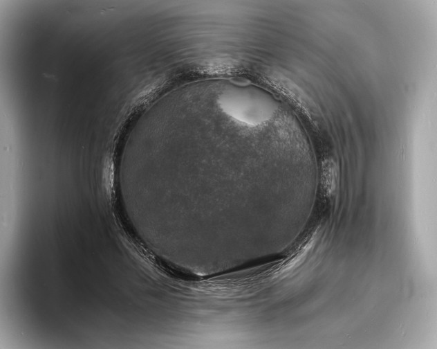 X0000094060589200710261227