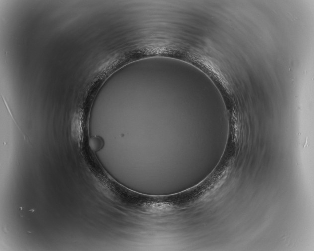 X0000094060590200710261227