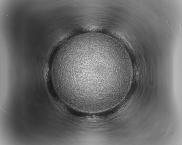X0000094060591200710261227