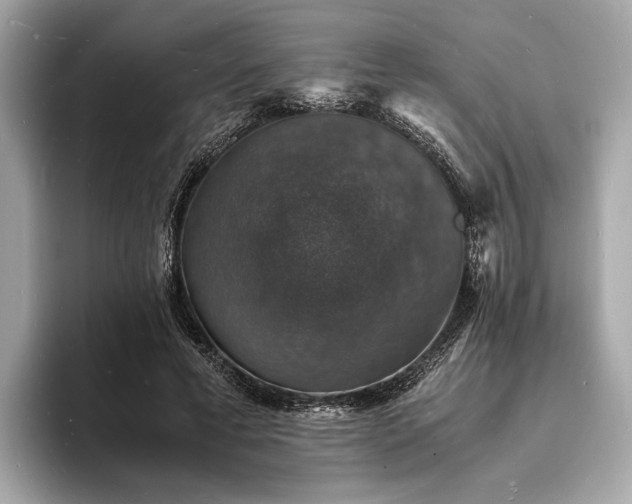 X0000094060593200710261227