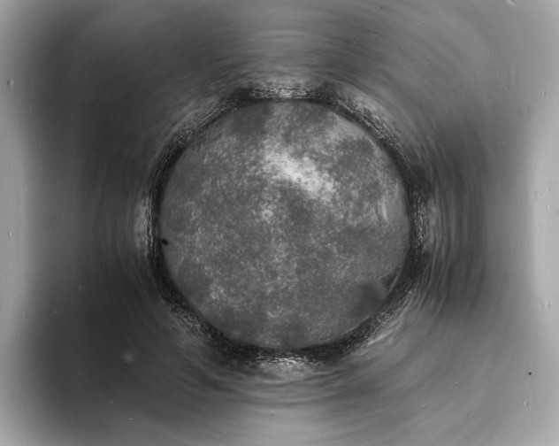 X0000094060594200710261227