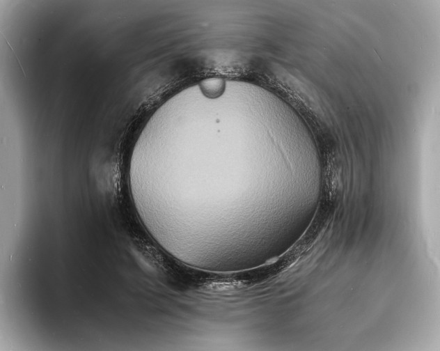 X0000094060595200710261227