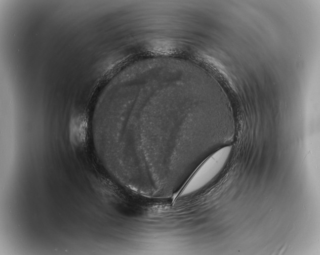 X0000094060596200710261227