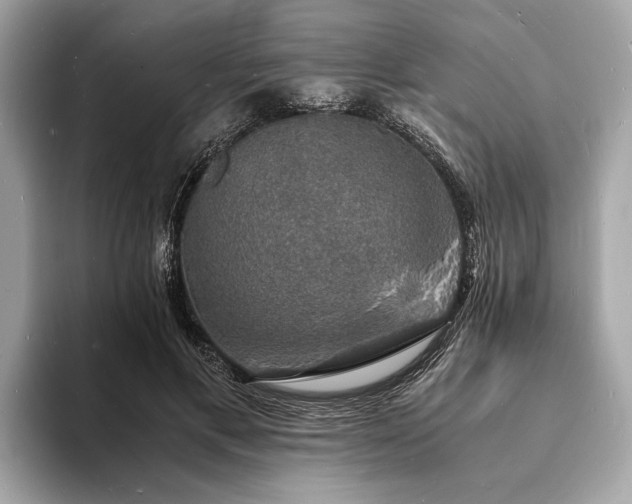 X0000094060597200710261227