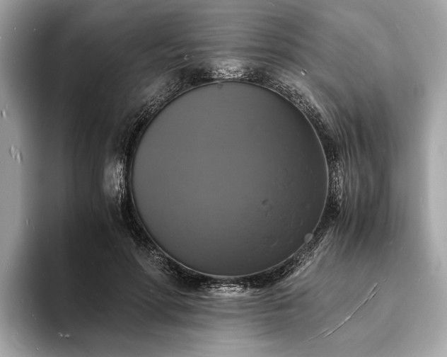 X0000094060598200710261227