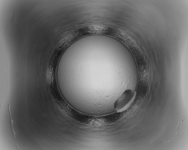 X0000094060599200710261227