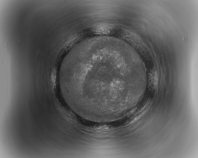 X0000094060600200710261227