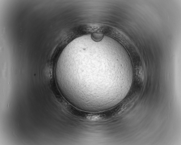 X0000094060602200710261227