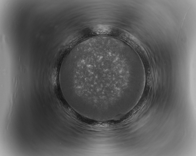 X0000094060604200710261227