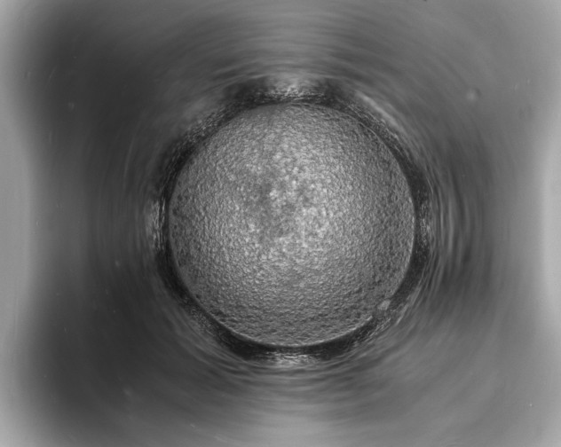 X0000094060605200710261227