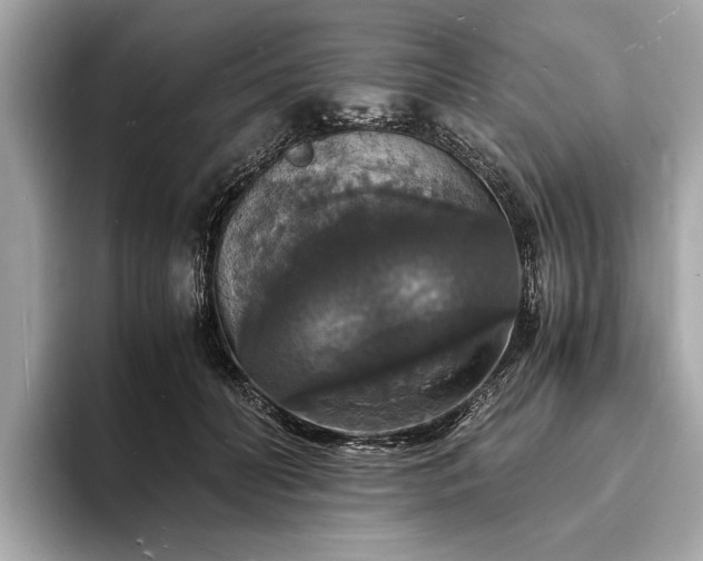 X0000094060606200710261227